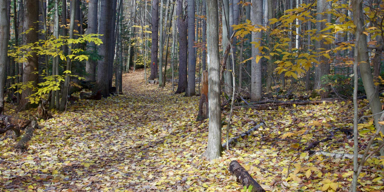 Hiking trails near Barrie Ontario